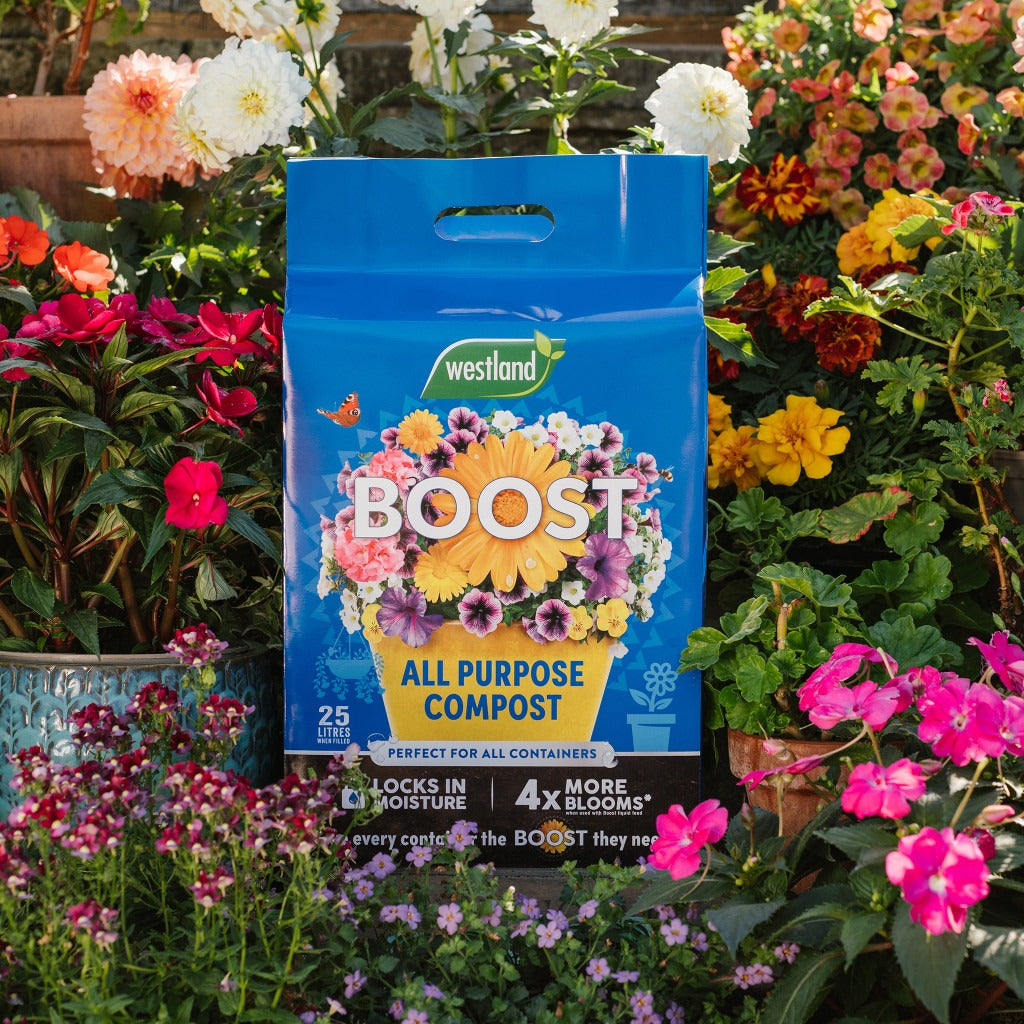 Boost All Purpose Compost Mini Bale