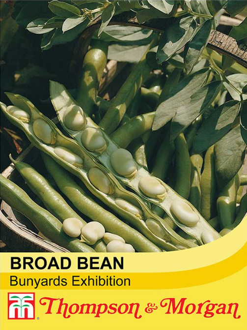 Broad Bean Bunyards Exhibition-Easy Garden Centre