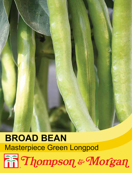 Broad Bean Masterpiece Green Longpod-Easy Garden Centre