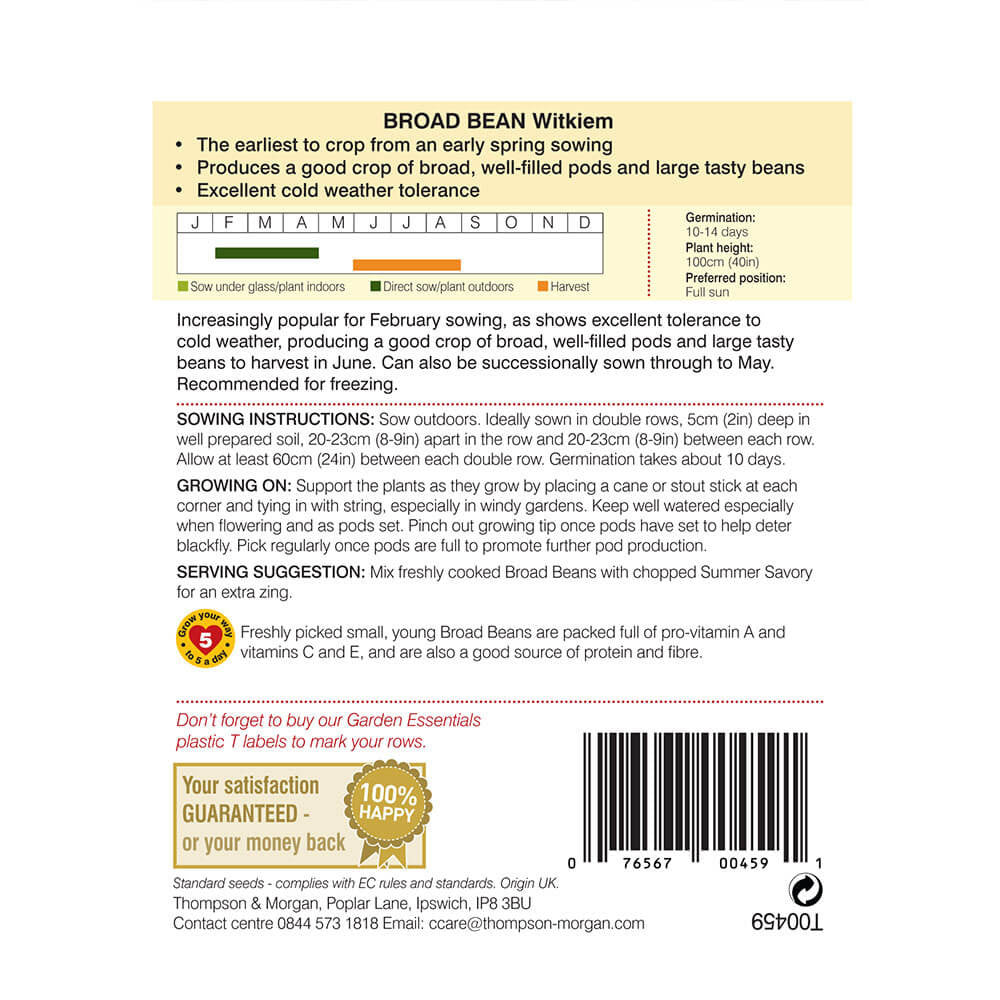 Broad Bean Witkiem-Easy Garden Centre