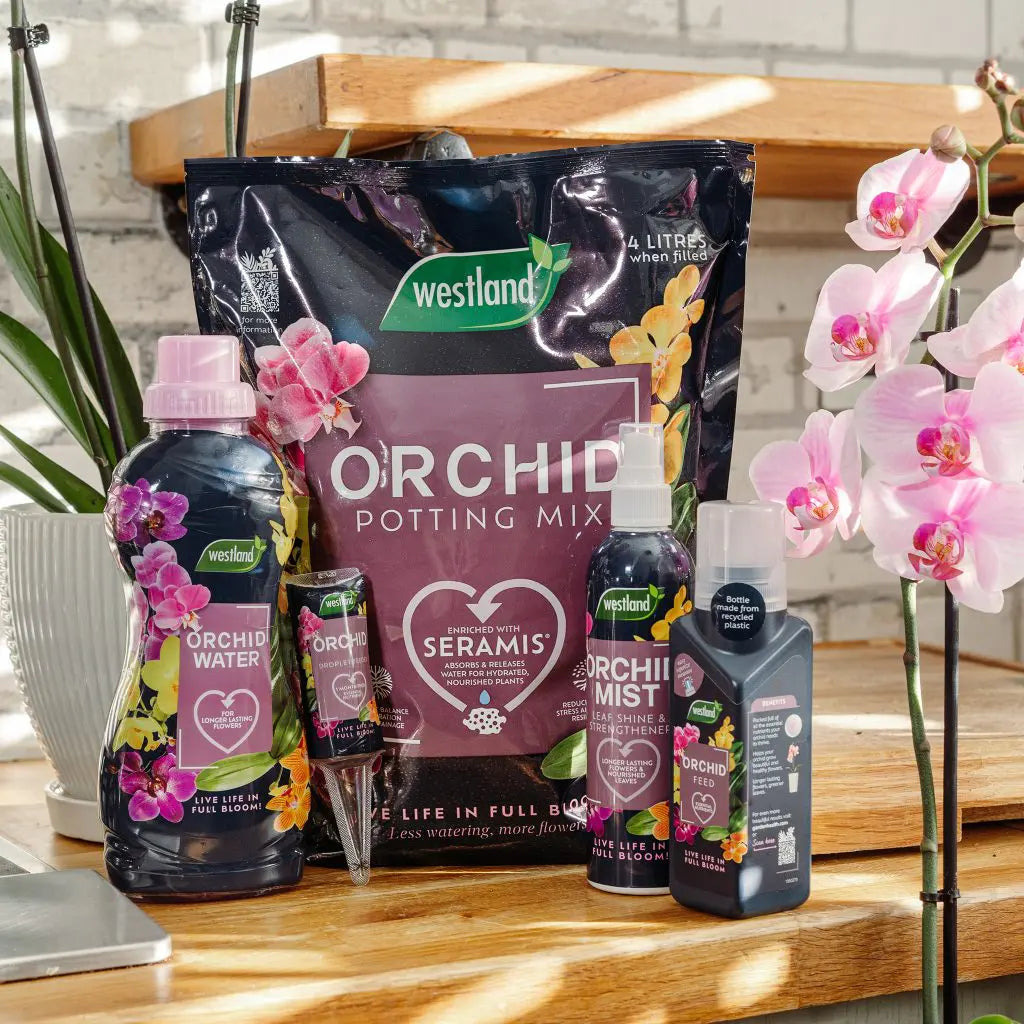 Westland Orchid Potting Mix (Enriched with Seramis) 4L