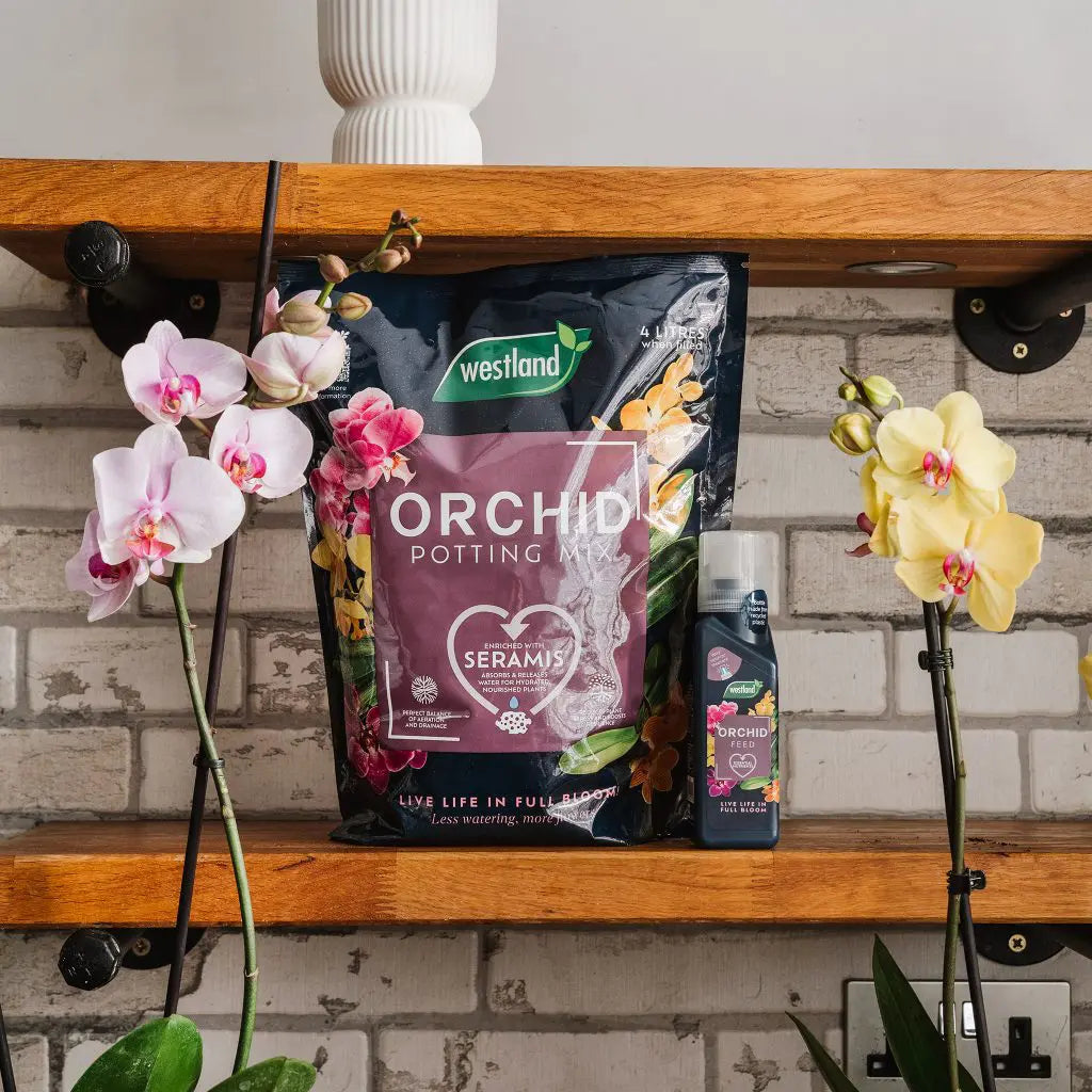 Westland Orchid Potting Mix (Enriched with Seramis) 4L
