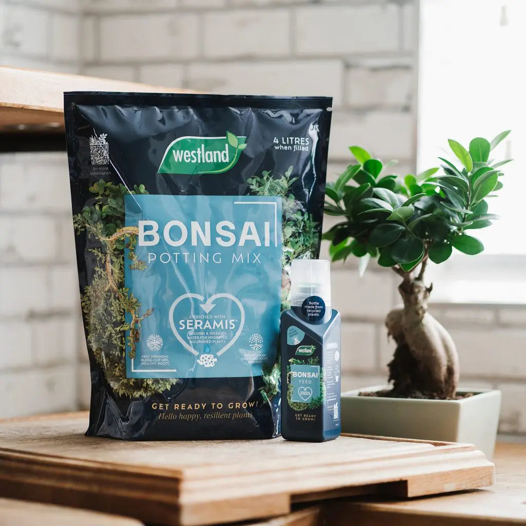 Westland Bonsai Potting Mix Peat Free 4L