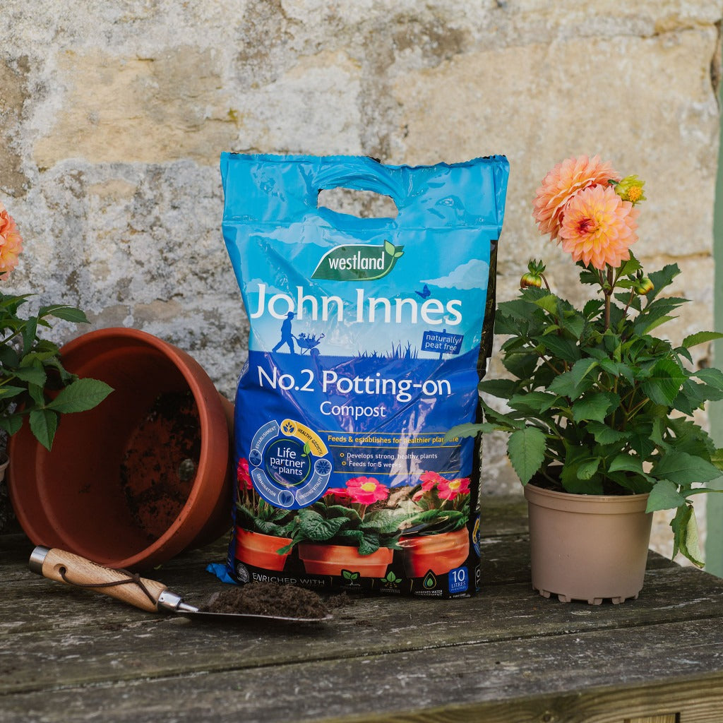 John Innes Peat Free No.2 Potting-on Compost 10L