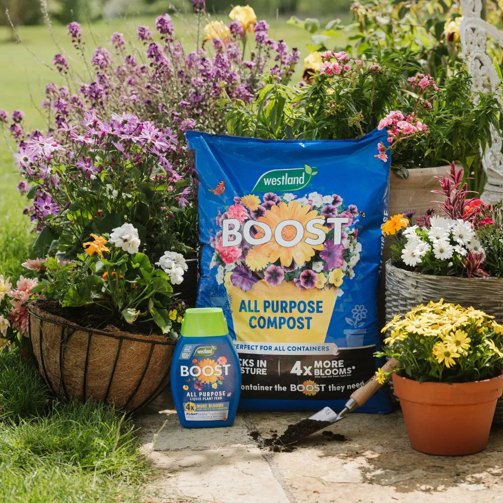 Boost All Purpose Compost 46L