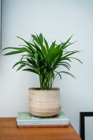 Pot Como ivory D18 H15-Easy Garden Centre