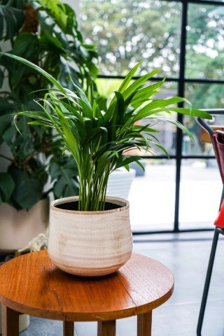 Pot Como Ivory H21Cm D26Cm-Easy Garden Centre