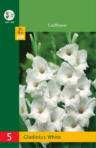 5 Gladiolus White-Easy Garden Centre