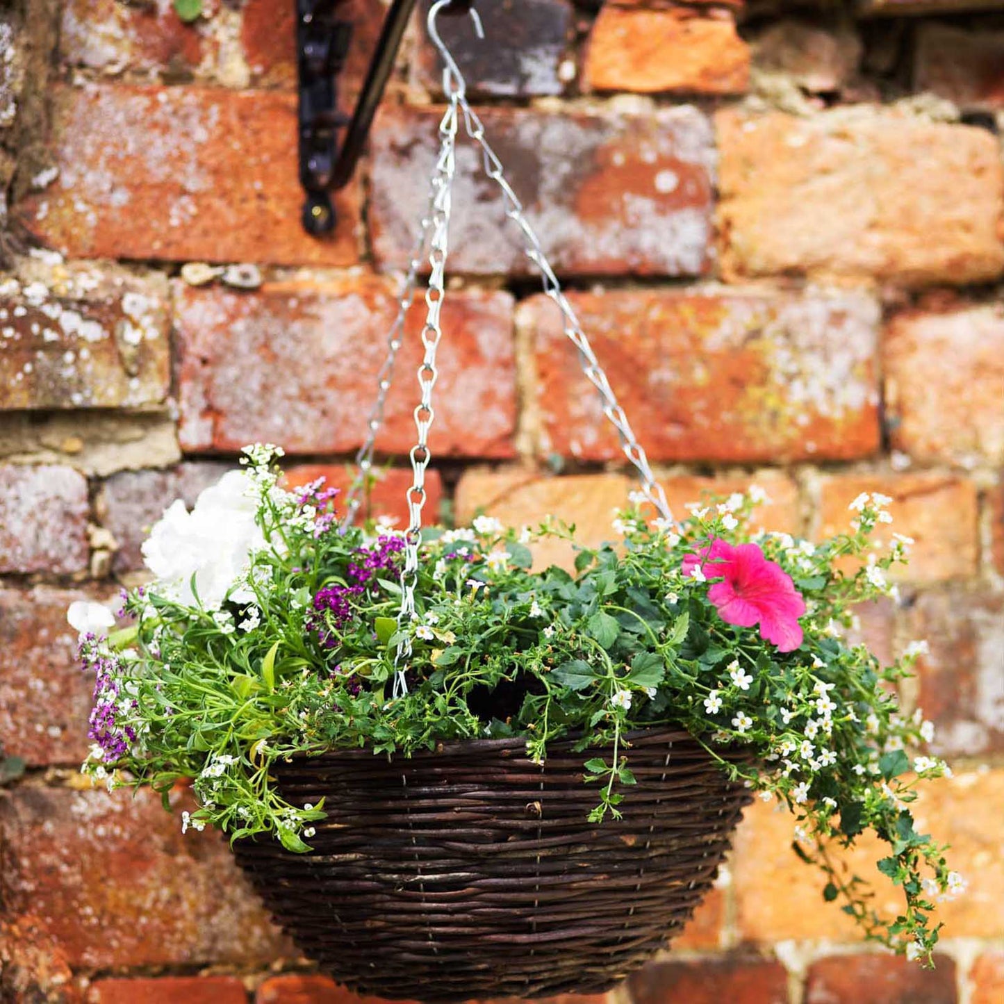 14in Rattan Hanging Basket-Easy Garden Centre