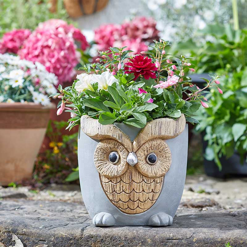 Woodstone Owl Planter-Easy Garden Centre