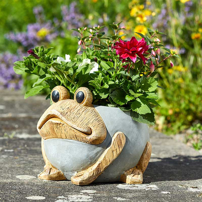 Woodstone Frog Planter-Easy Garden Centre