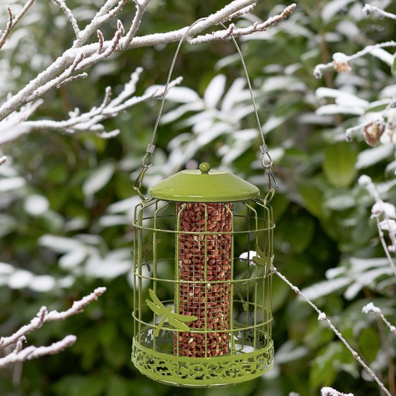 Decor Squirrel Proof Peanut Feeder-Easy Garden Centre