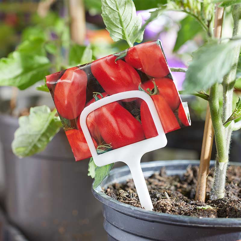 12.5cm T Labels 10pk-Easy Garden Centre
