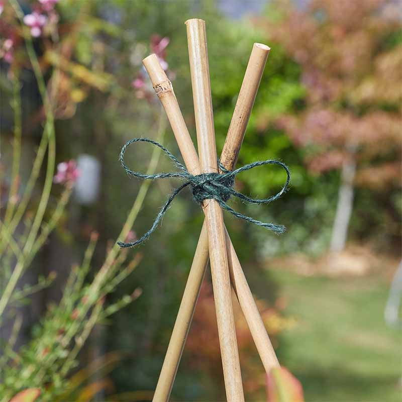 100g Garden & Home Twine - Green-Easy Garden Centre
