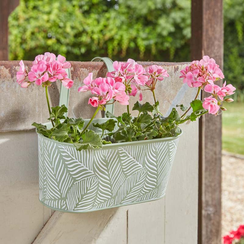 12in Fence & Balcony Hanging Planter - Fern - Sage-Easy Garden Centre