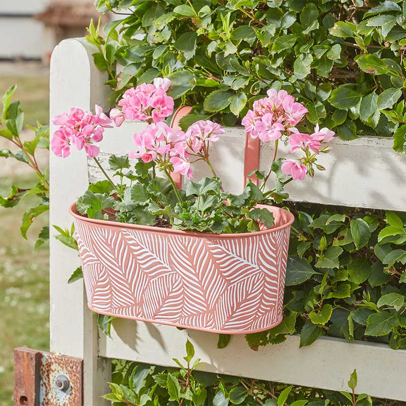 12in Fence & Balcony Hanging Planter - Fern - Terracotta-Easy Garden Centre