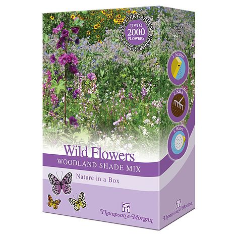 Wild Flowers Woodland Shade Mix-Easy Garden Centre