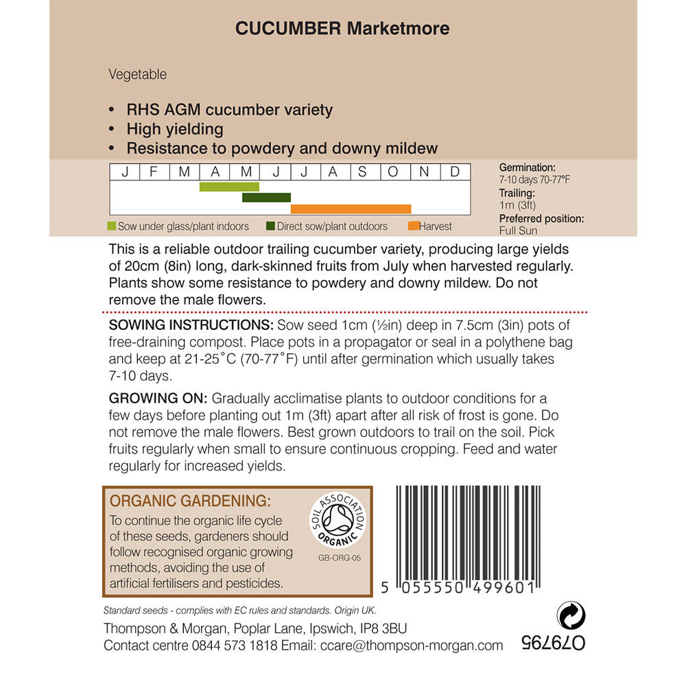 Cucumber Marketmore (Organic)-Easy Garden Centre