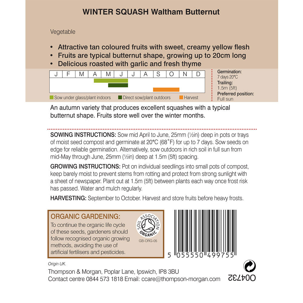 Squash Waltham Butternut (winter) (Organic)-Easy Garden Centre