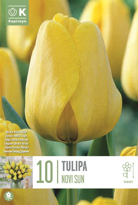 BAG TUL DHT NOVISUN X10 11/12-Easy Garden Centre