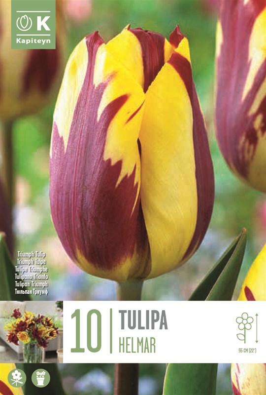 BAG TUL TT HELMAR X10 11/12-Easy Garden Centre
