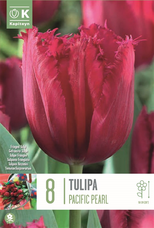 BAG TUL FRINGED PACIFIC PEARL X8 12/+-Easy Garden Centre