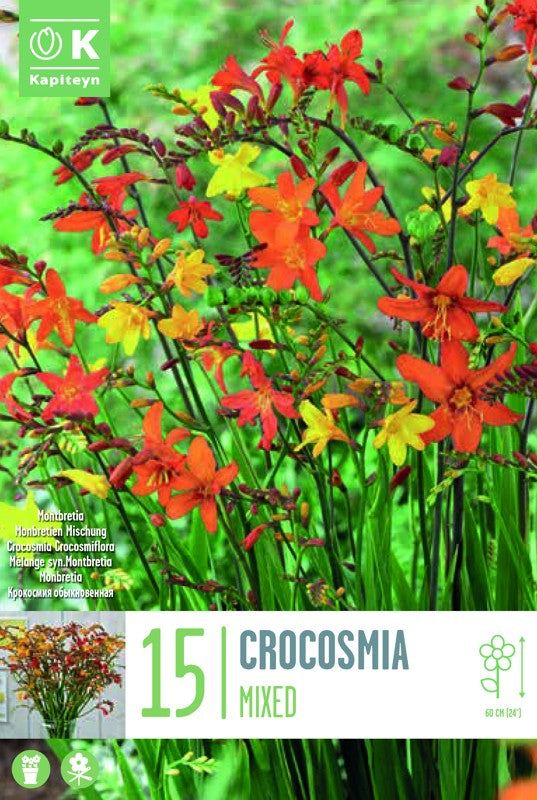 Crocosmia CROCOSMII FLORAMIXED X15 6/+