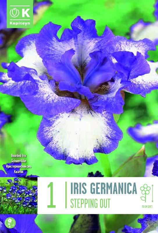 IRIS GER. STEPPING OUT I X1