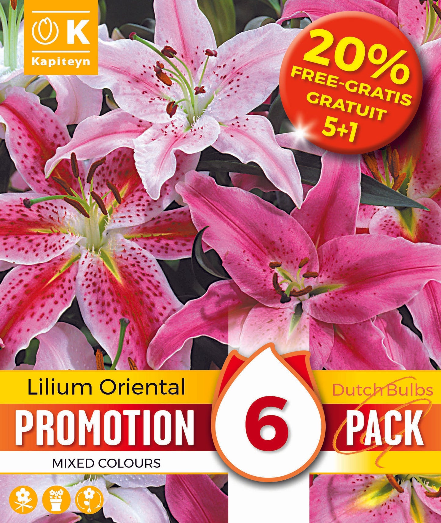 PROMO 30 20% LILIUM ORIENTAL X6 16-18