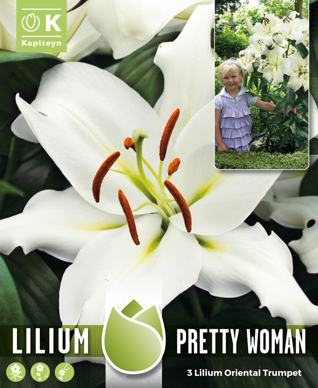 TREE LILIUM PRETTY WOMAN