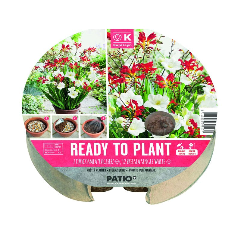 PLANT-O-MAT TRAY 24 CM CROC/FREE-Easy Garden Centre