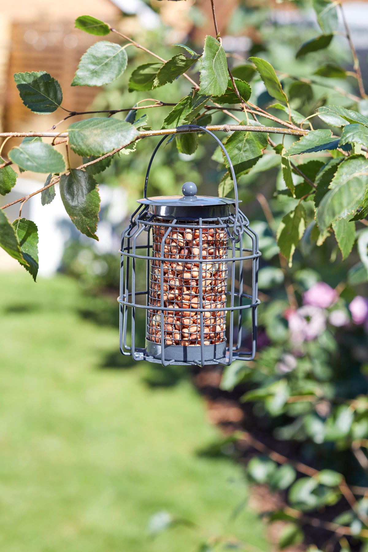 Compact Peanut Feeder POS 16-Easy Garden Centre