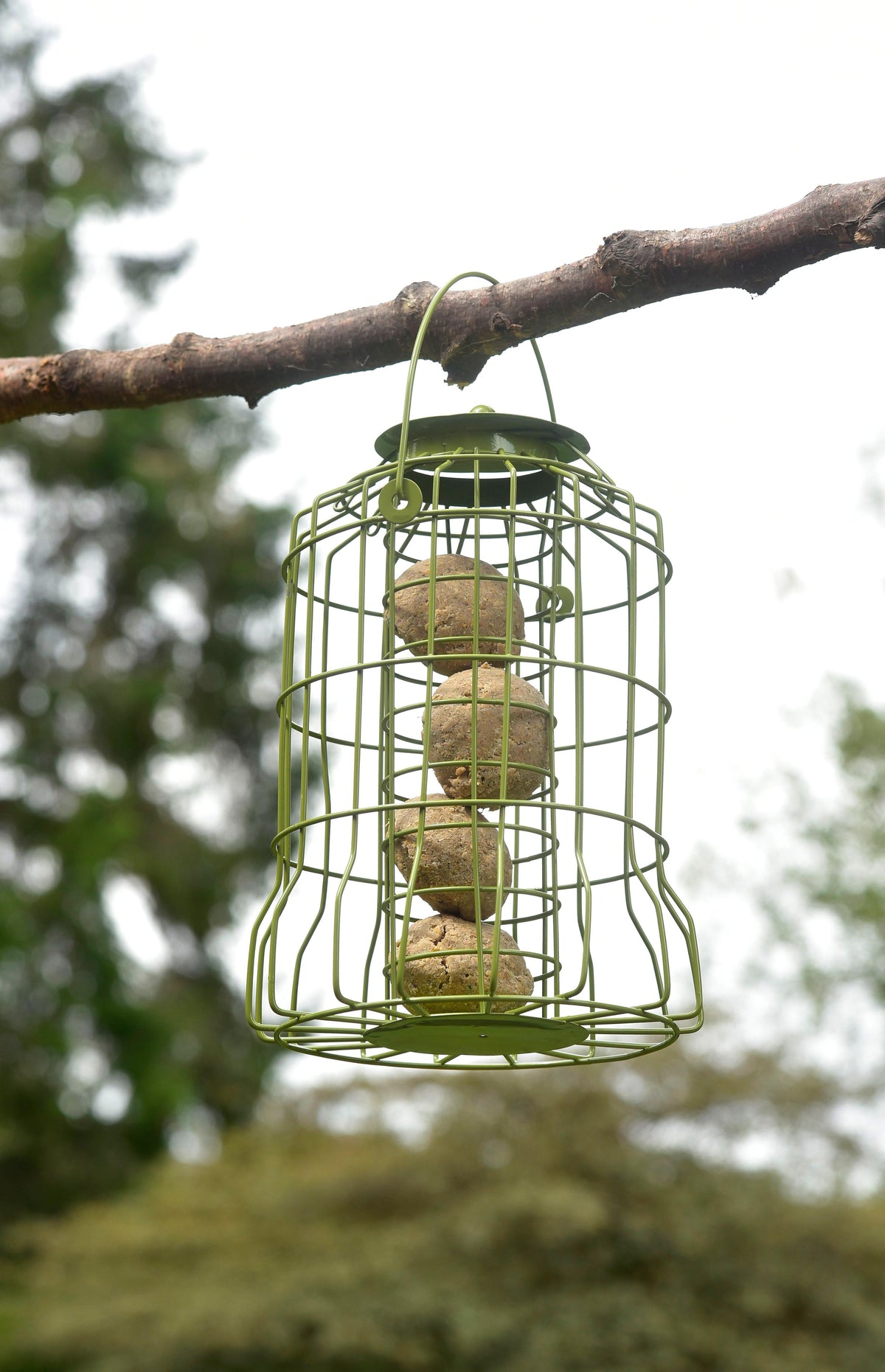 Squirrel Guard Suet Feeder Robert Dyas-Easy Garden Centre