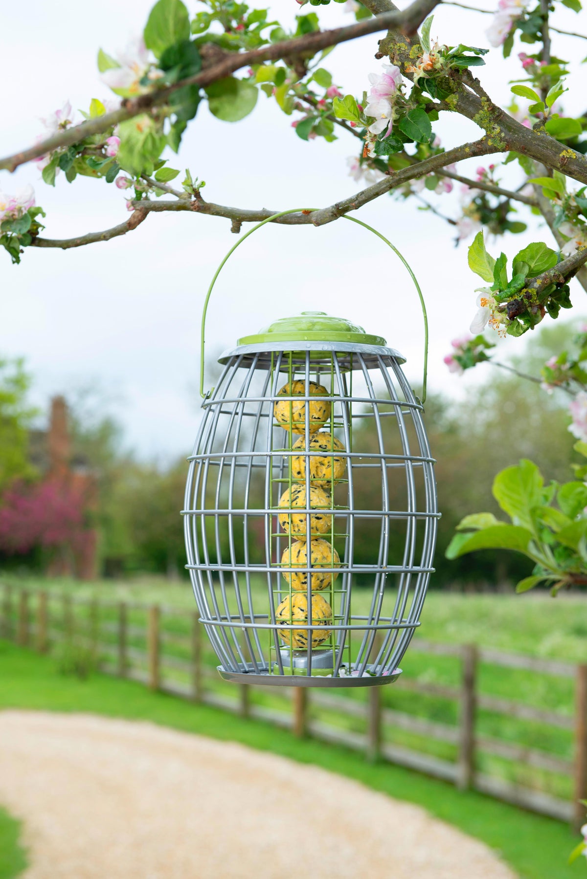Ultra Squirrel Proof Suet Ball Feeder-Easy Garden Centre