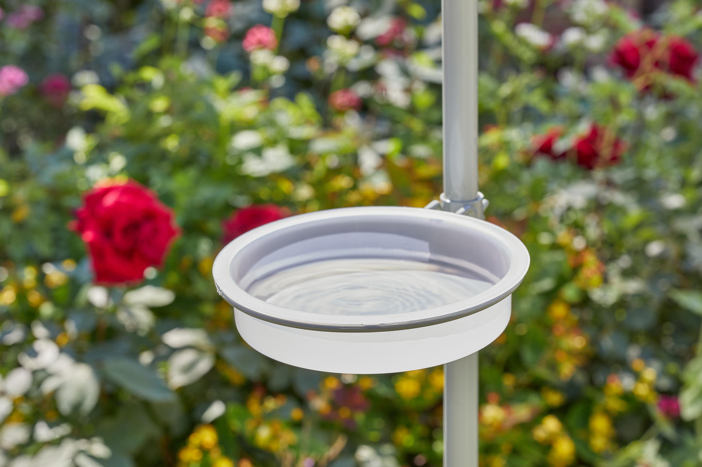 Complete Wild Willow Feeding Station-Easy Garden Centre