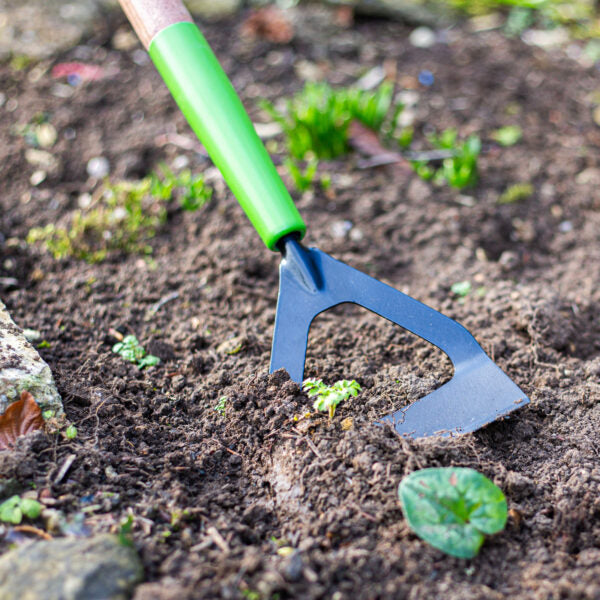 AMES Dutch Hoe - Carbon Steel-Easy Garden Centre