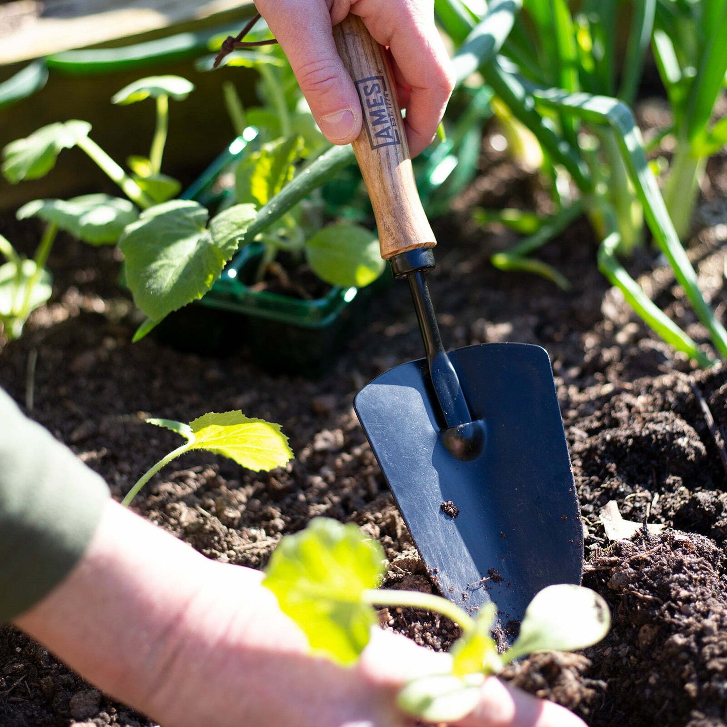 AMES Hand Trowel - Carbon Steel-Easy Garden Centre