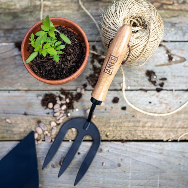 AMES Hand Fork - Carbon Steel-Easy Garden Centre