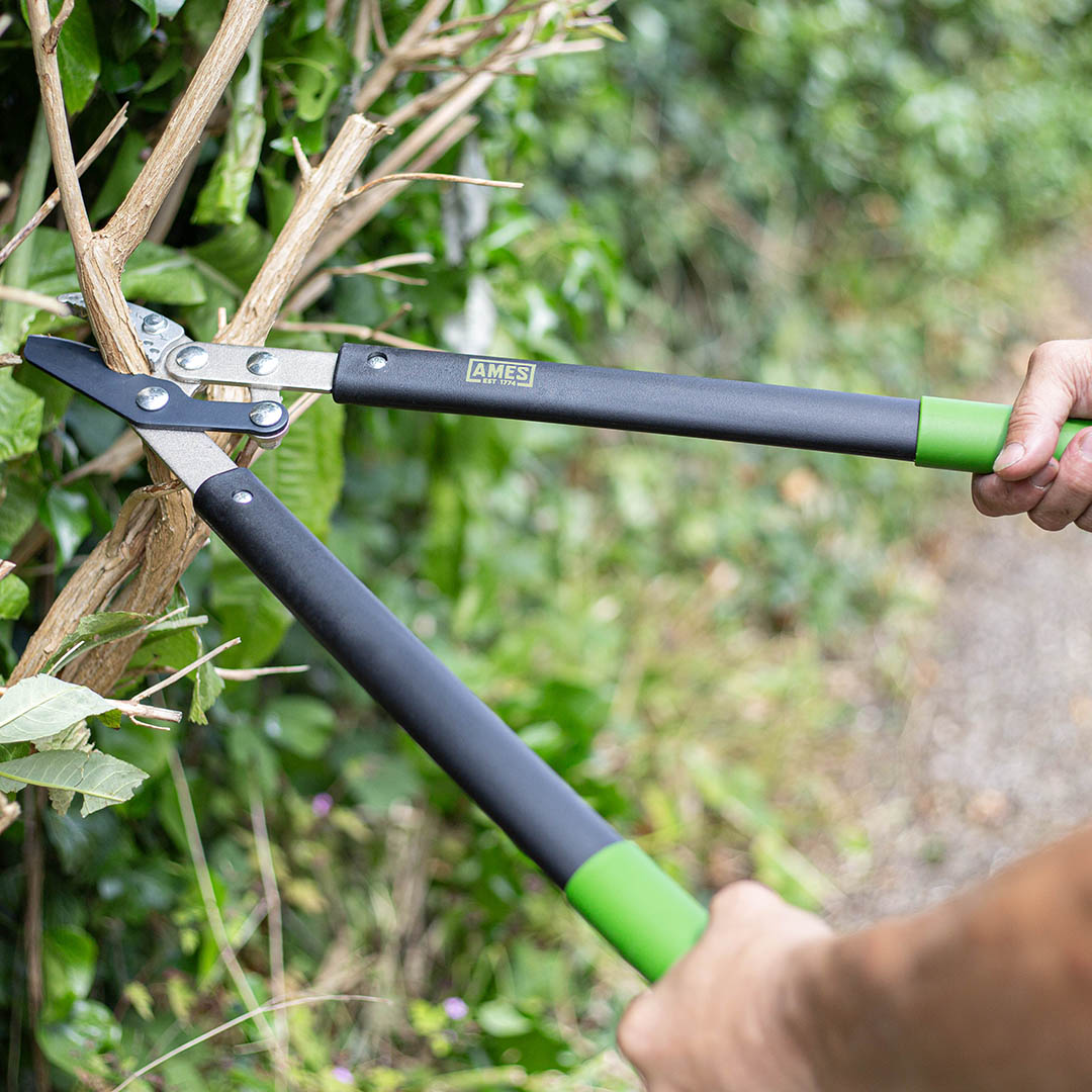 AMES Compound Anvil Lopper-Easy Garden Centre