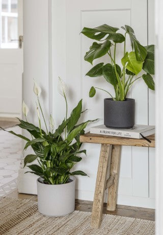 Leon Granite Planter H27Cm D32Cm-Easy Garden Centre
