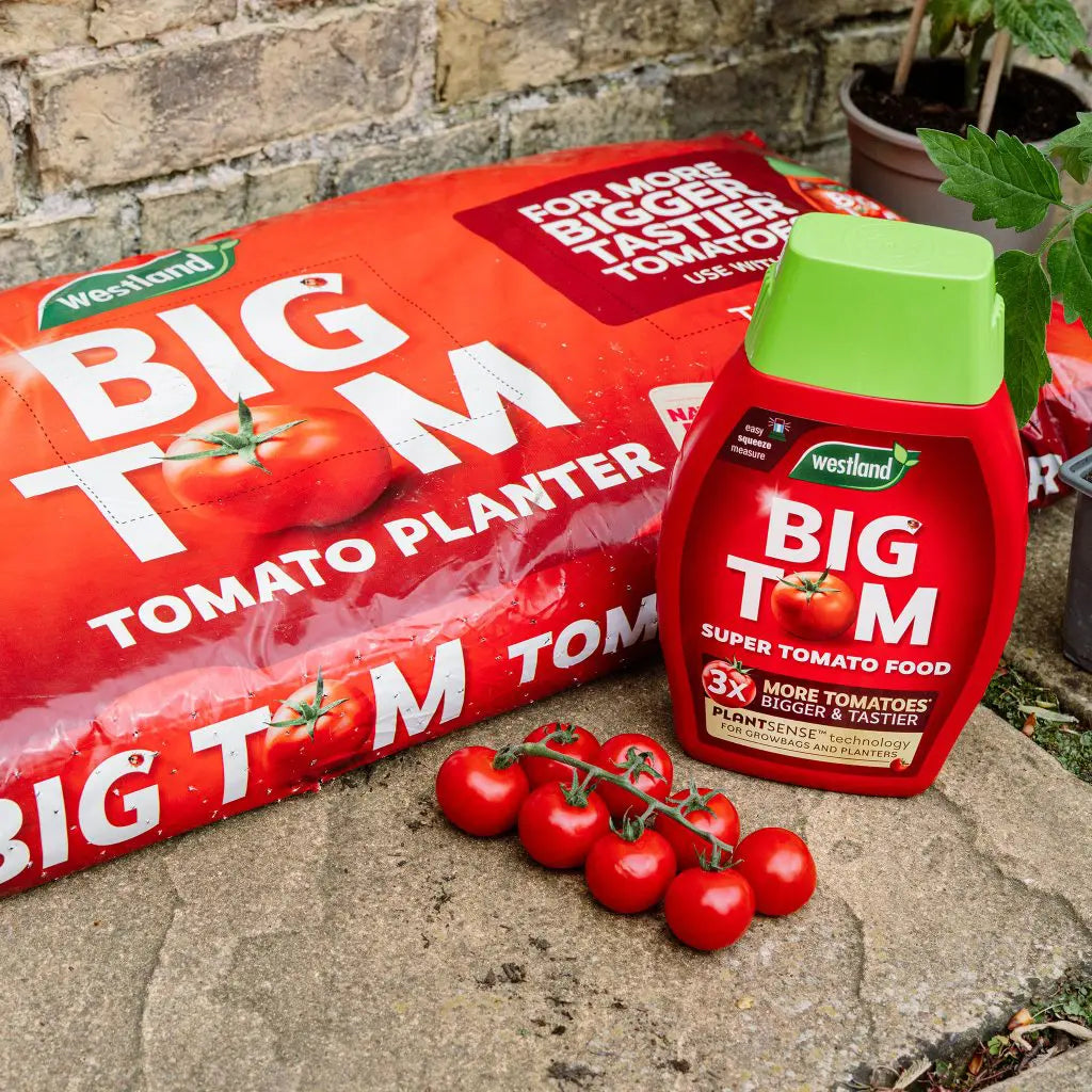 Big Tom Peat Free Tomato Planter 55L