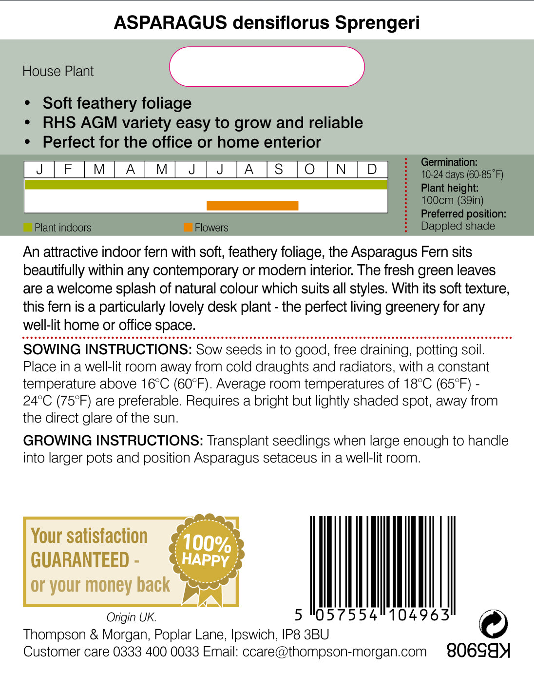 Asparagus Fern-Easy Garden Centre