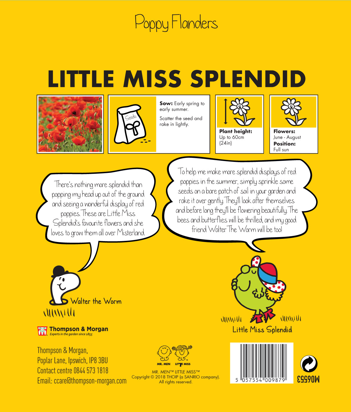 Little Miss Splendid Poppy Flanders-Easy Garden Centre