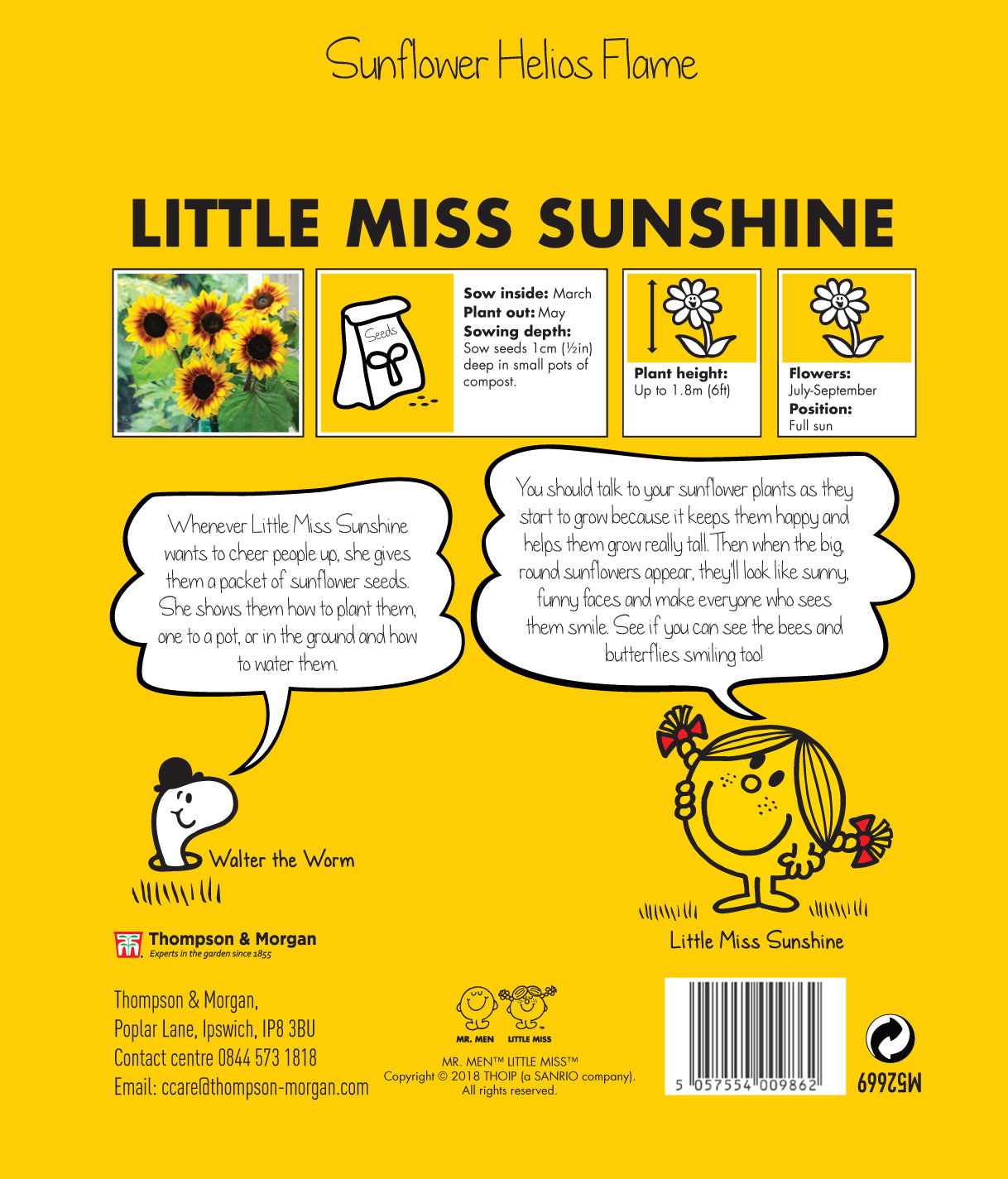 Little Miss Sunshine Sunflower Helios Flame-Easy Garden Centre