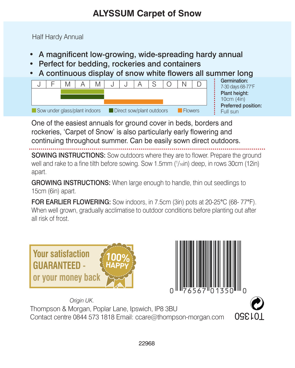 Alyssum Carpet of Snow