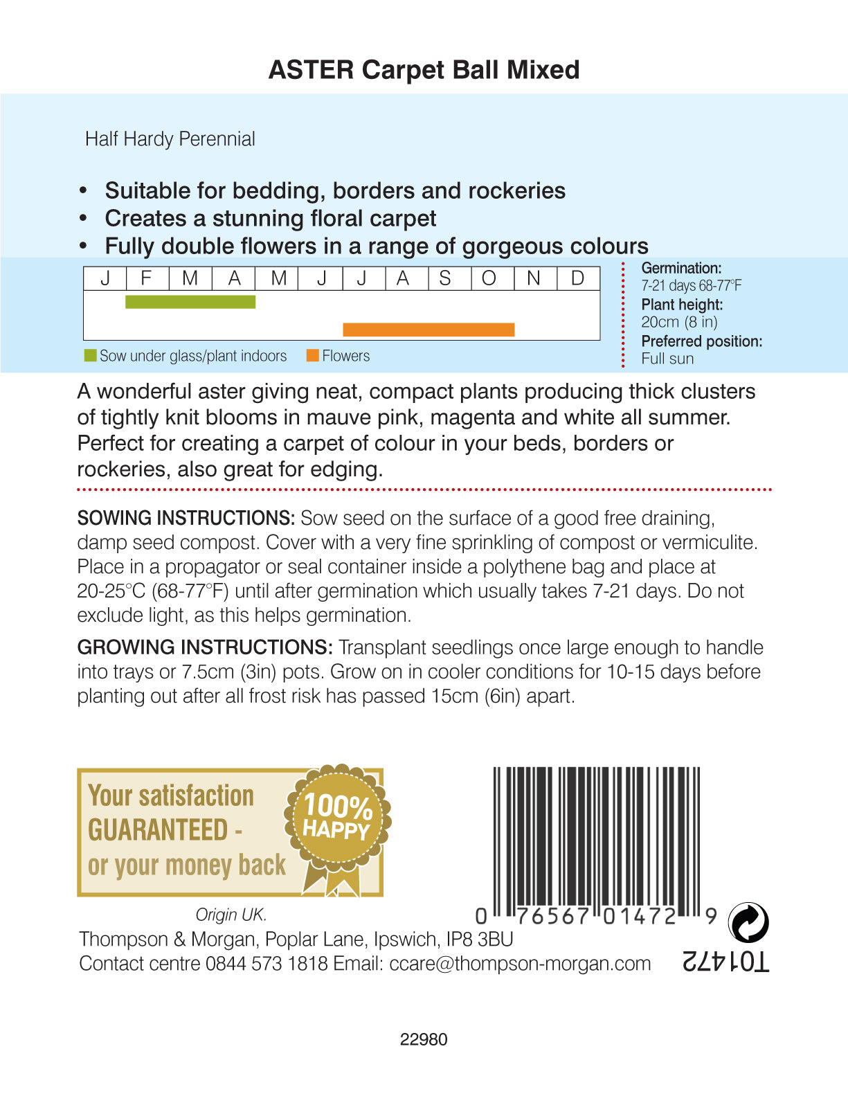 Aster Carpet Ball Mixed