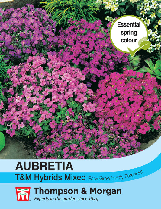 Aubrieta T&M Hybrids Mixed