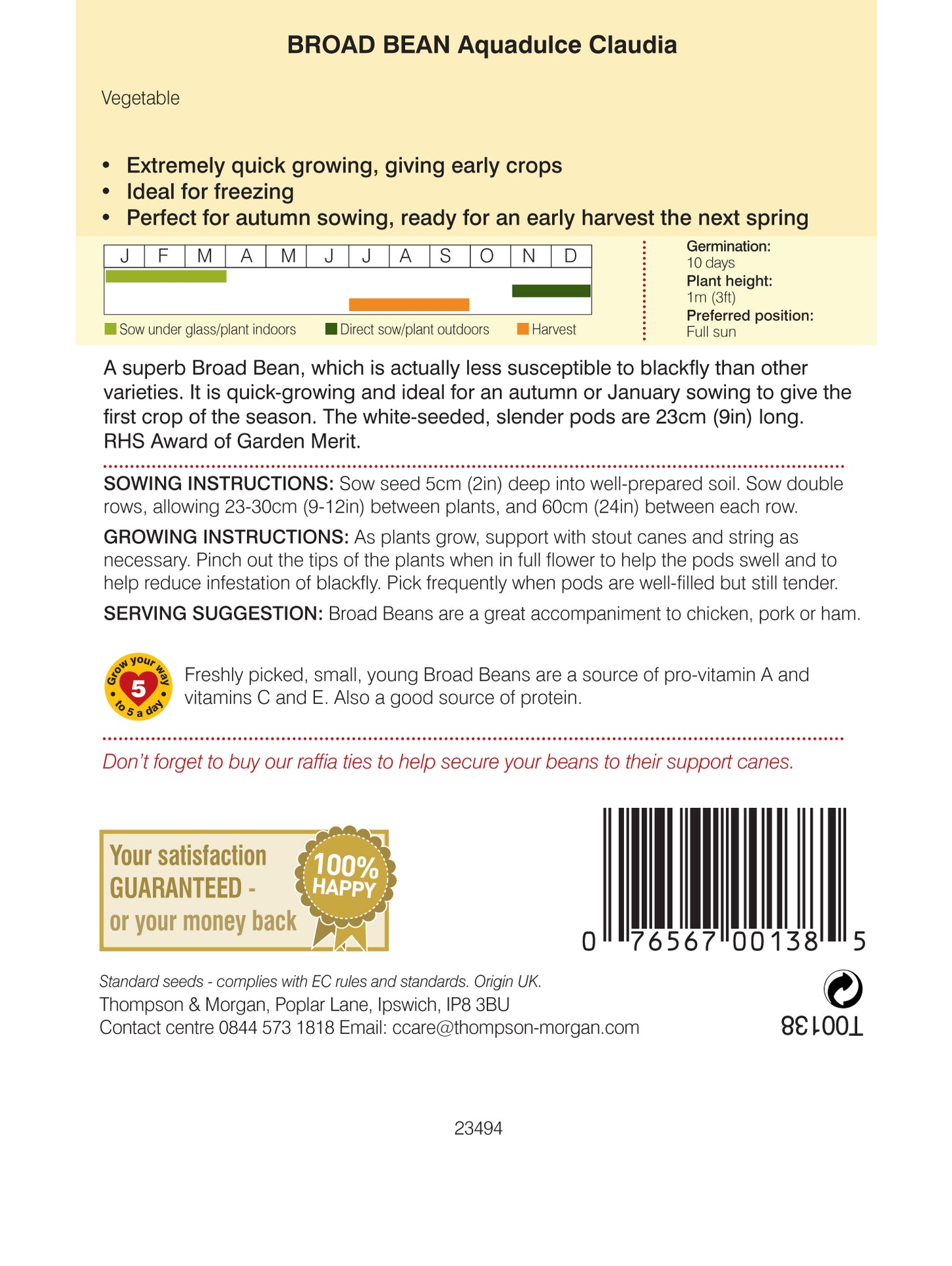 Broad Bean Aquadulce Claudia