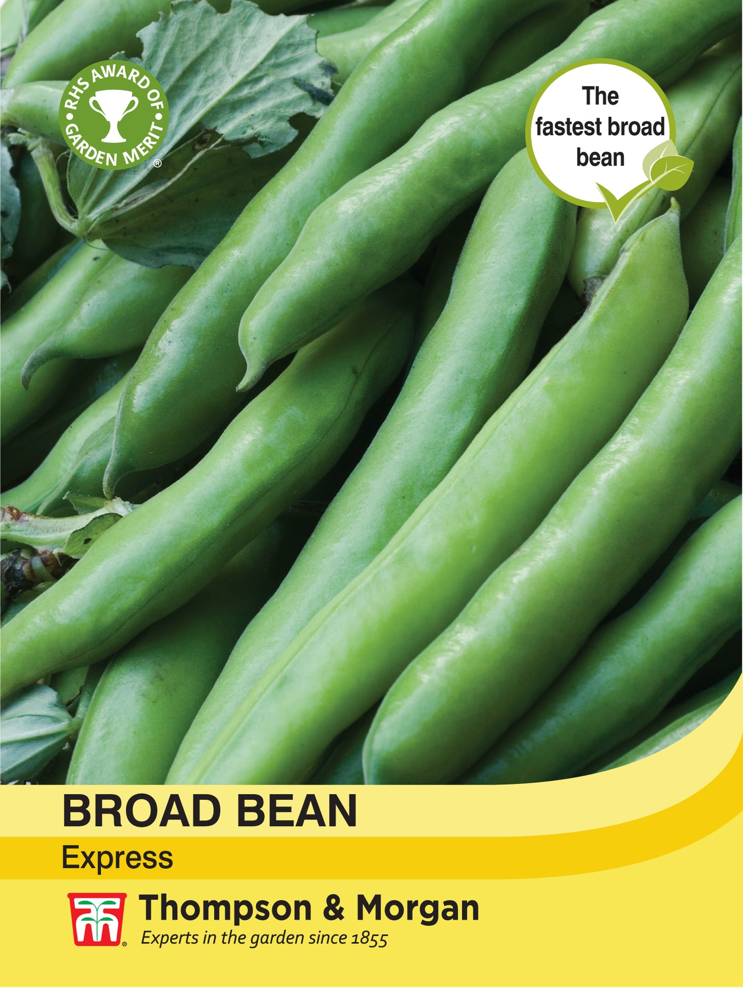 Broad Bean Express