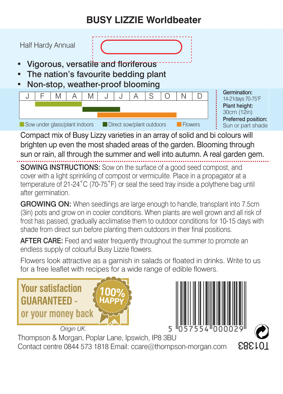 Busy Lizzie Worldbeater